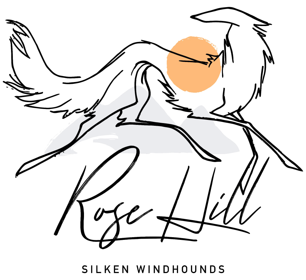 Rosehill Silken Windhounds Logo featuring a black line drawing of a silken windhound over the top of a sun and a mountain. Underneath the image, it says RoseHill Silken Windhounds