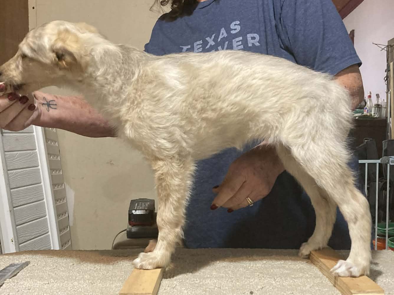 Rosehill Sheza Calendar Girl