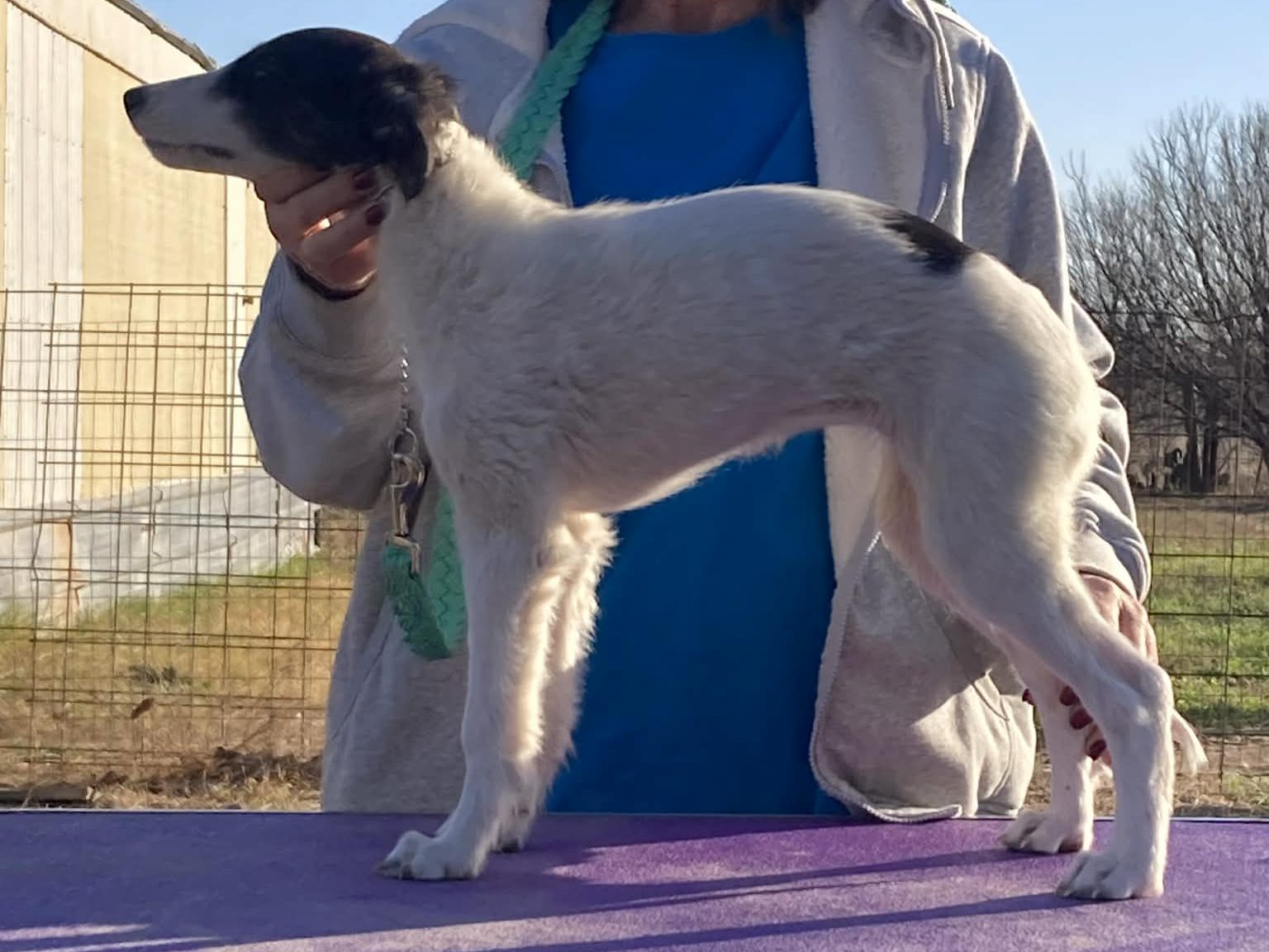 Rosehill Rock Your World