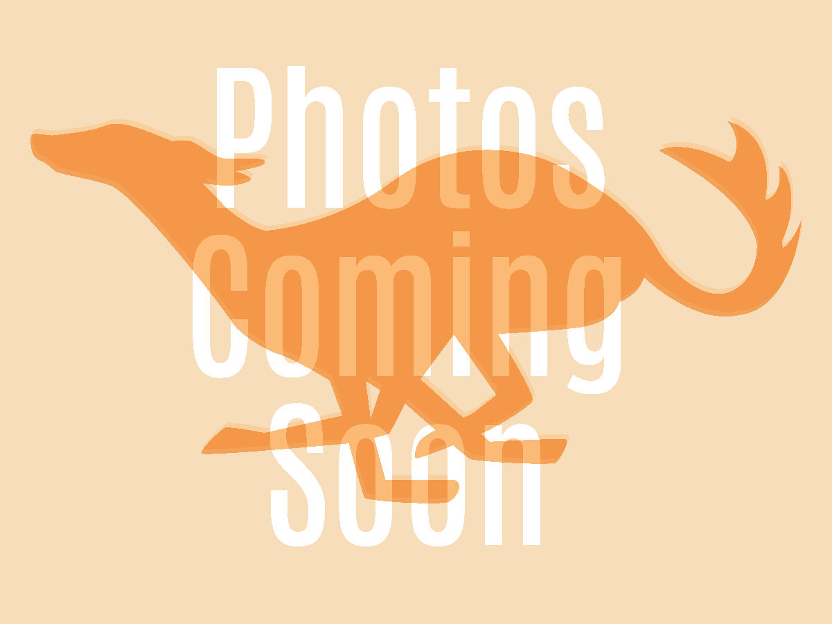 Placeholder image – silken windhound running with the words "Photos Coming Soon" layered on top of it 