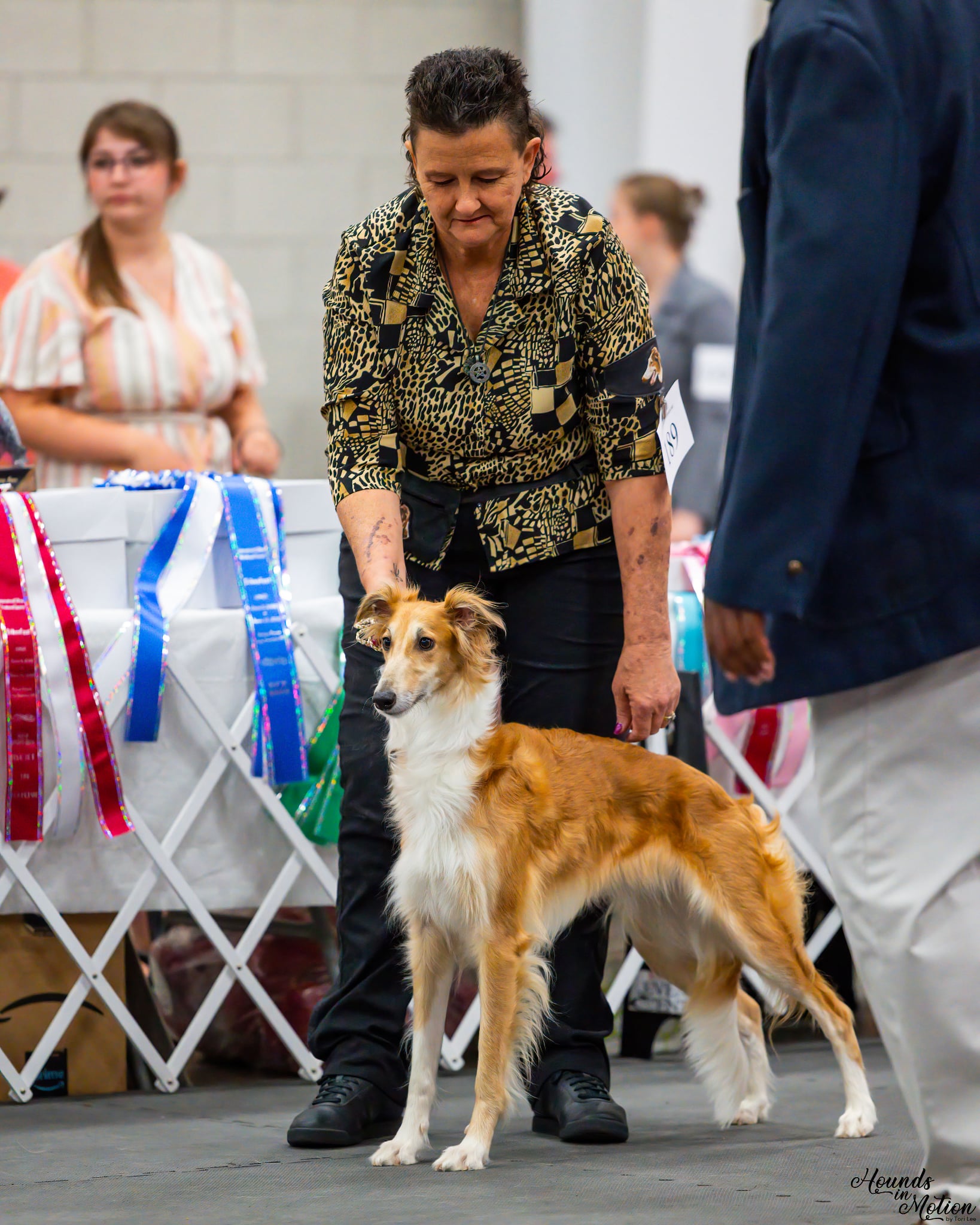 Morgandell's Hypatia Vox